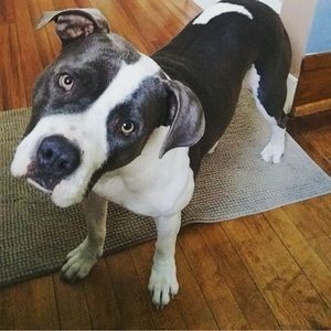 Meet your Posher, Hailee